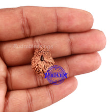 Load image into Gallery viewer, 17 Mukhi Rudraksha from Indonesia - Bead No. 153
