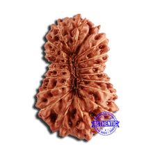 Load image into Gallery viewer, 18 Mukhi Rudraksha from Indonesia - Bead No. 226
