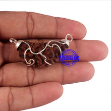 Load image into Gallery viewer, 1 Mukhi half moon shaped from India - Bead No. 221
