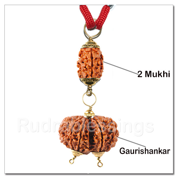 Rudraksha Relations Bliss Pendant From Nepal