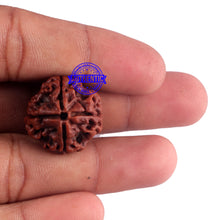 Load image into Gallery viewer, 4 Mukhi Rudraksha from Nepal - Bead No. 55
