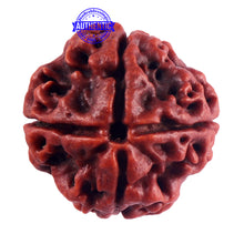 Load image into Gallery viewer, 4 Mukhi Rudraksha from Nepal - Bead No. 55
