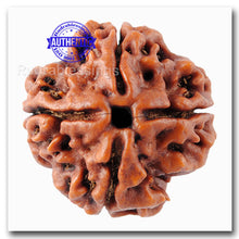 Load image into Gallery viewer, 4 Mukhi Rudraksha from Nepal - Bead No. 35
