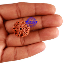 Load image into Gallery viewer, 5 Mukhi Rudraksha from Nepal - Bead No. 197
