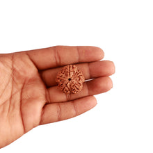 Load image into Gallery viewer, 5 Mukhi Rudraksha from Nepal - Bead No. 276
