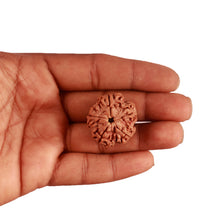 Load image into Gallery viewer, 5 Mukhi Rudraksha from Nepal - Bead No. 285
