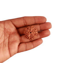 Load image into Gallery viewer, 5 Mukhi Rudraksha from Nepal - Bead No. 283
