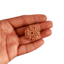 Load image into Gallery viewer, 5 Mukhi Rudraksha from Nepal - Bead No. 284
