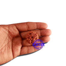 Load image into Gallery viewer, 5 Mukhi Rudraksha from Nepal - Bead No. 303
