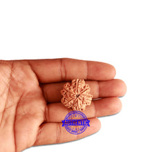 Load image into Gallery viewer, 6 Mukhi Ganesha Rudraksha from Nepal - Bead No. 362
