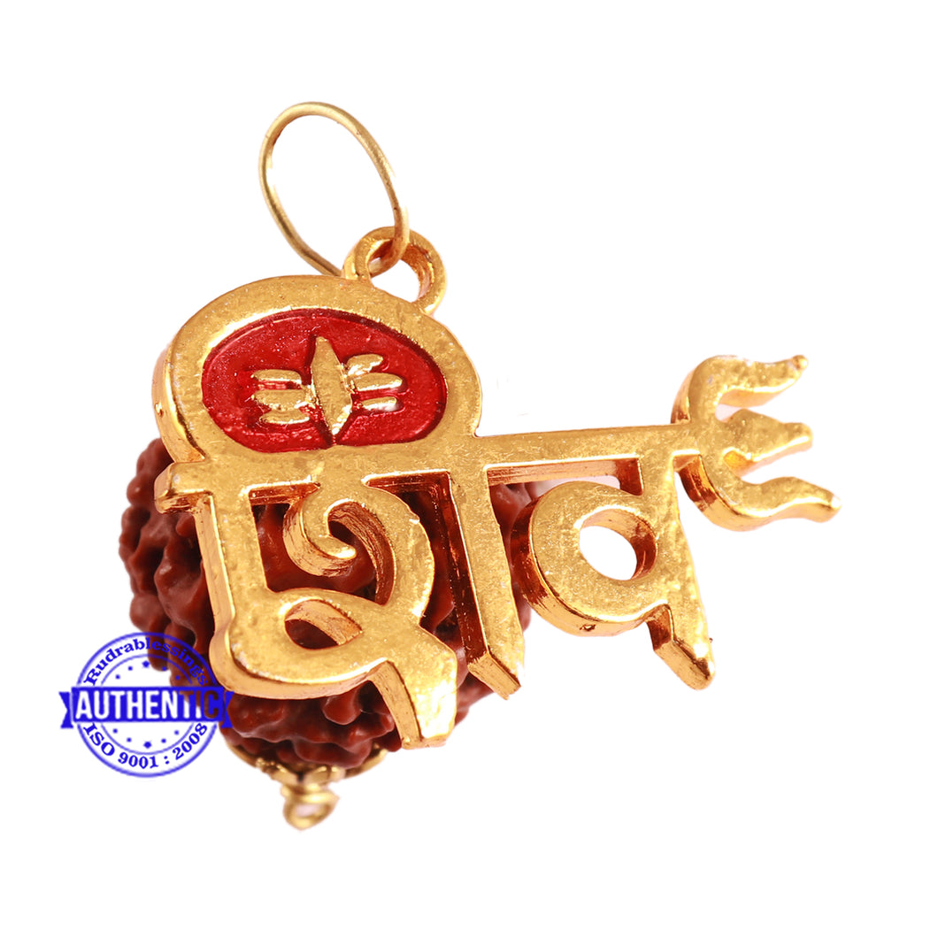 6 Mukhi Hybrid Rudraksha - Bead No. 49 (with Shiv accessory)