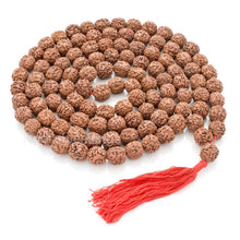 Load image into Gallery viewer, 7 mukhi Rudraksha Mala - (108+1 beads - Indonesian)
