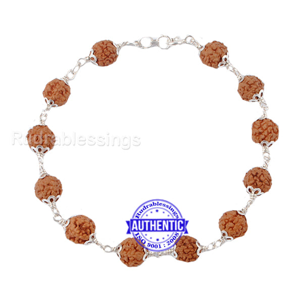 7 Mukhi Rudraksha Bracelet Silver | Kalyanastrogems
