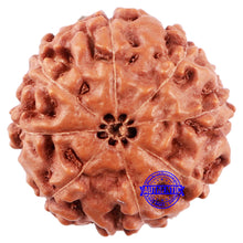 Load image into Gallery viewer, 8 Mukhi Rudraksha from Indonesia - Bead No. 216
