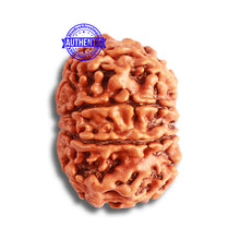 Load image into Gallery viewer, 8 Mukhi Nepalese Rudraksha - Bead No. 334
