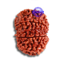 Load image into Gallery viewer, 8 Mukhi Nepalese Rudraksha - Bead No. 335
