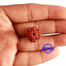 Load image into Gallery viewer, 8 Mukhi Nepalese Rudraksha - Bead No. 307
