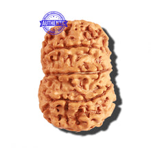 Load image into Gallery viewer, 9 Mukhi Nepalese Rudraksha - Bead No. 208
