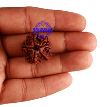 Load image into Gallery viewer, Nepalese Ganesh Rudraksha - Bead No. 154
