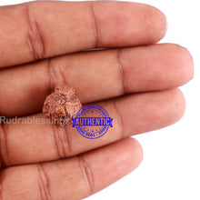 Load image into Gallery viewer, Indonesian Garbh Gauri Rudraksha - Bead No. 5
