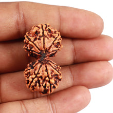 Load image into Gallery viewer, Gaurishanker Nepalese Rudraksha - Bead No. 48
