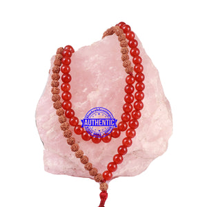 Red Aventurine Stone + Rudraksha Mala - 2