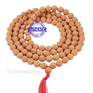 7 Mukhi Rudraksha Laghu Coconut Shape Mala