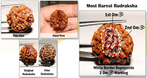 5 Mukhi Rudraksha with 2 Om - 1