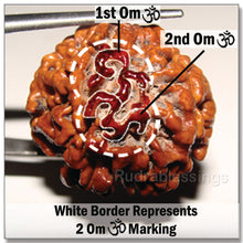 Load image into Gallery viewer, 5 Mukhi Rudraksha with 2 Om - 1
