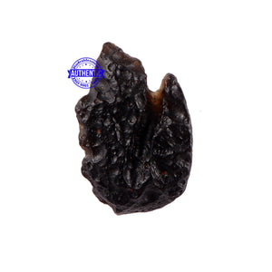 Tektite - 110