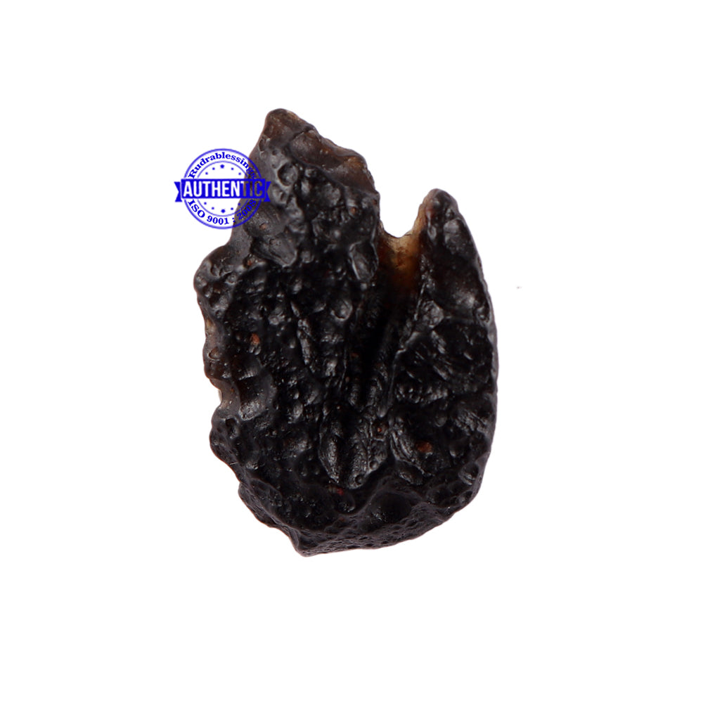 Tektite - 110