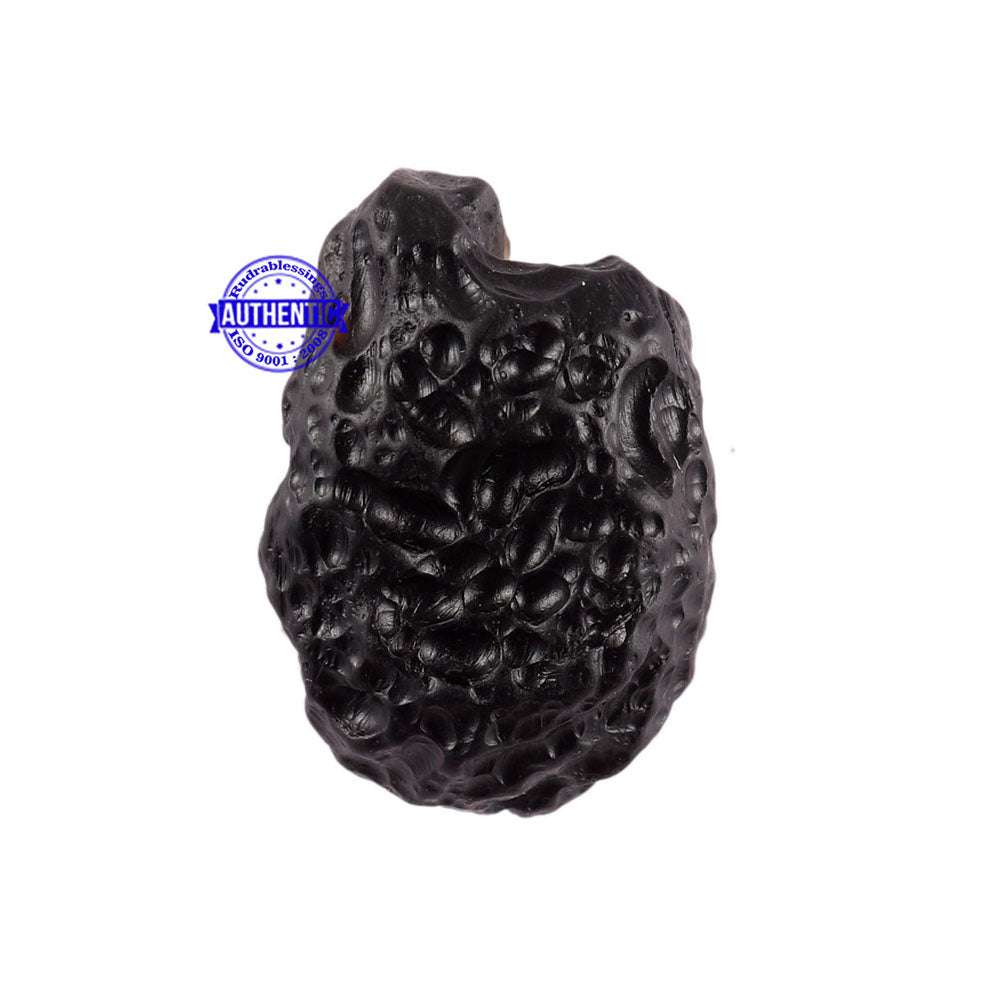 Tektite - 136