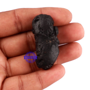 Tektite - 8